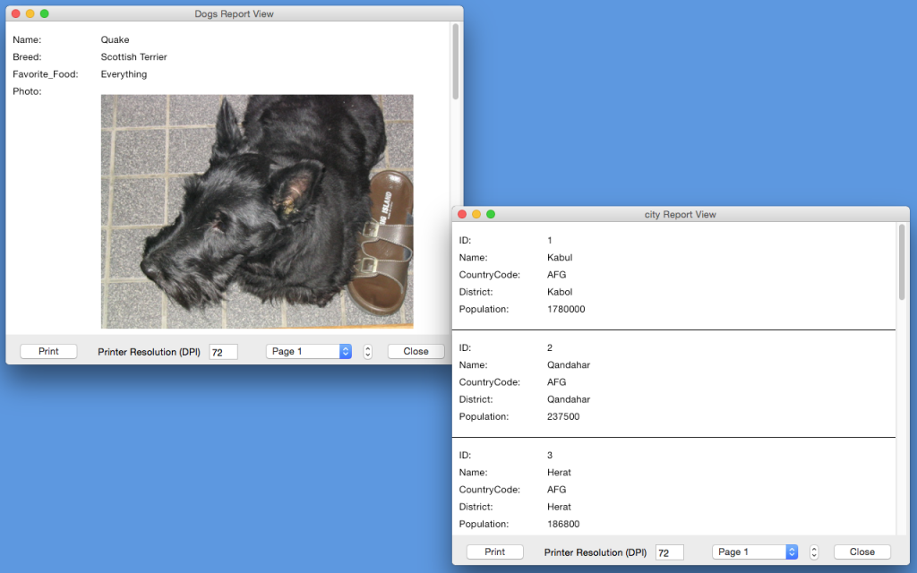 Data Manager reports